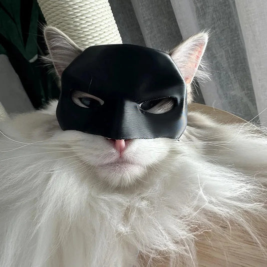 Masque de Chat Avenger