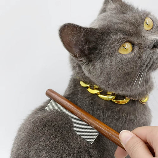 CHOYCAT™ Peigne en Bois pour Chats